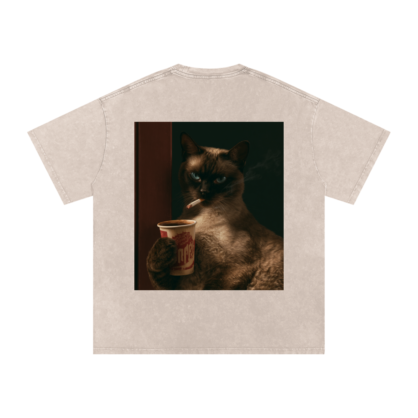 Snow Washed Oversized Cotton T-Shirt