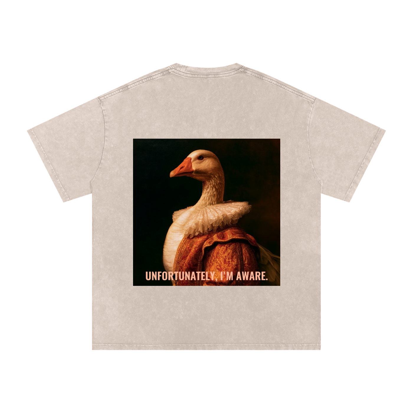 Snow Washed Oversized Cotton T-Shirt