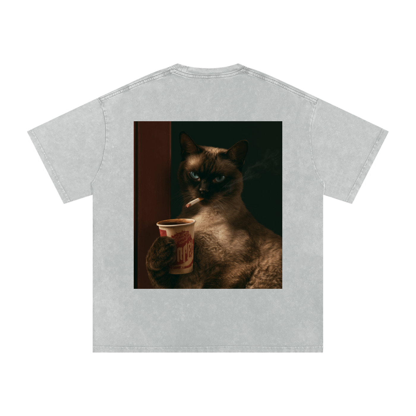 Snow Washed Oversized Cotton T-Shirt