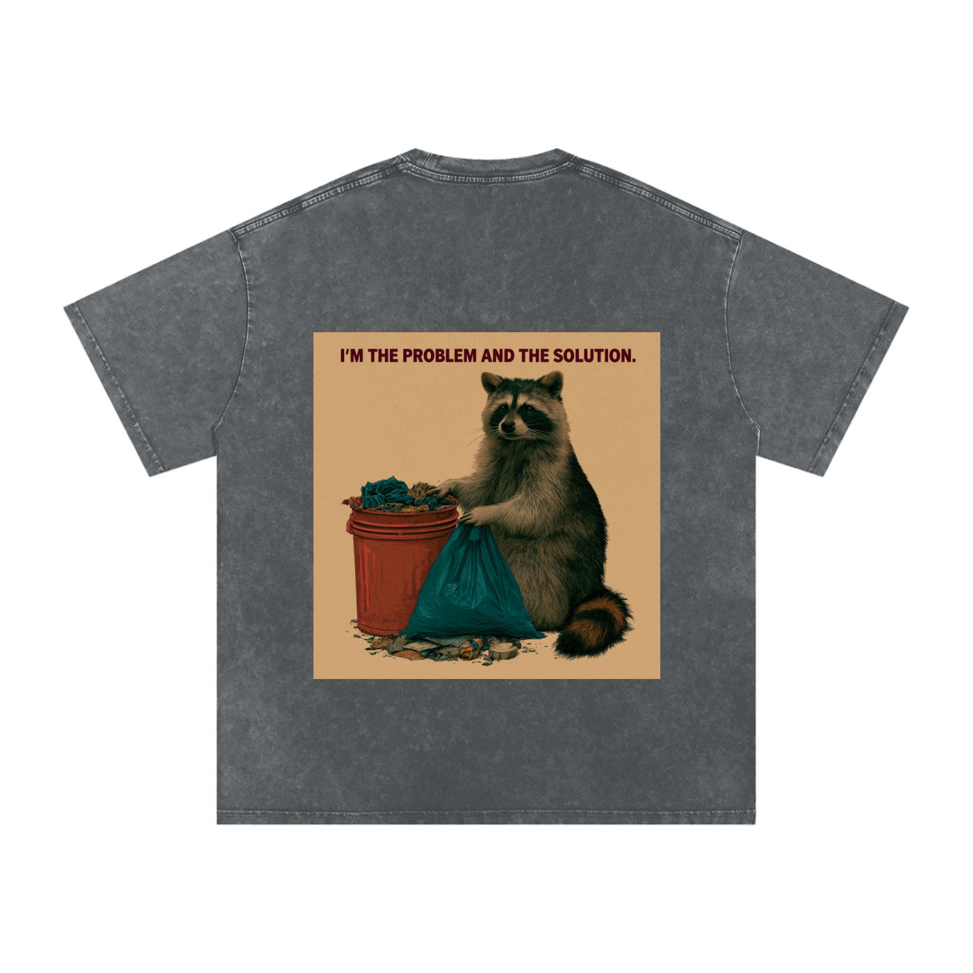 Snow Washed Oversized Cotton T-Shirt