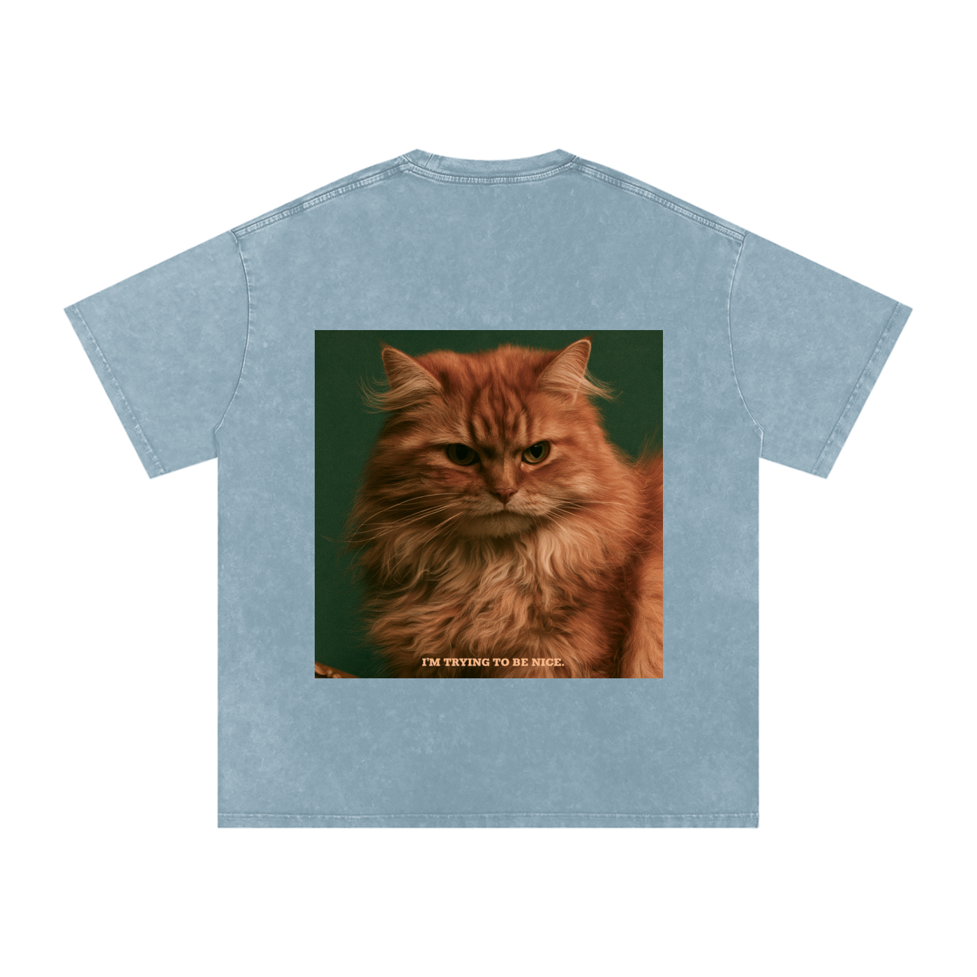 Snow Washed Oversized Cotton T-Shirt