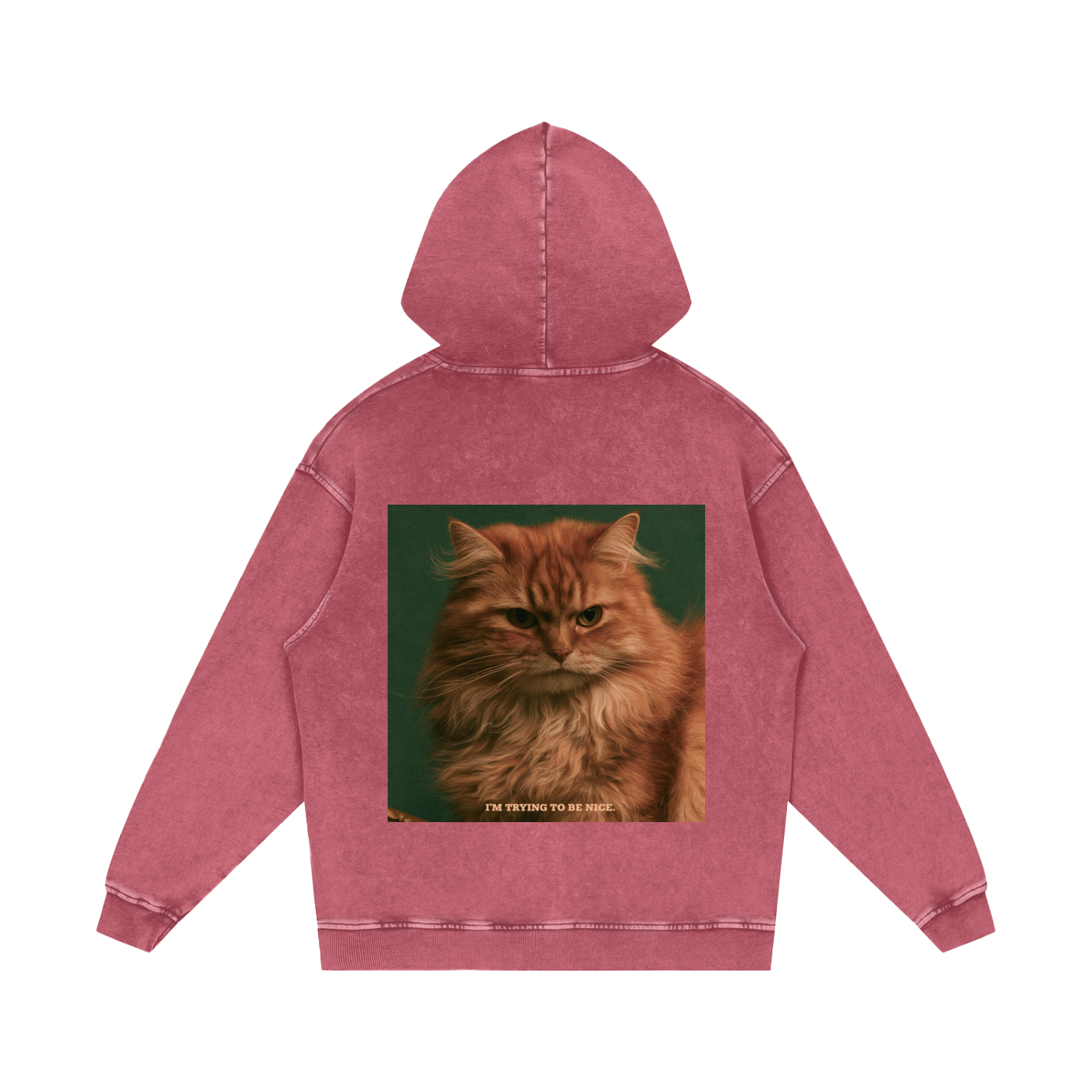 Snow Washed Loose Cotton Hoodie