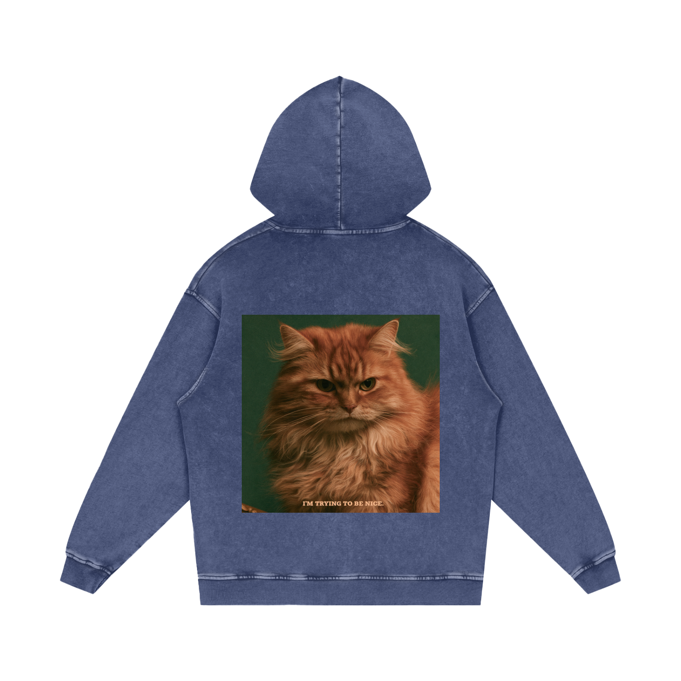 Snow Washed Loose Cotton Hoodie