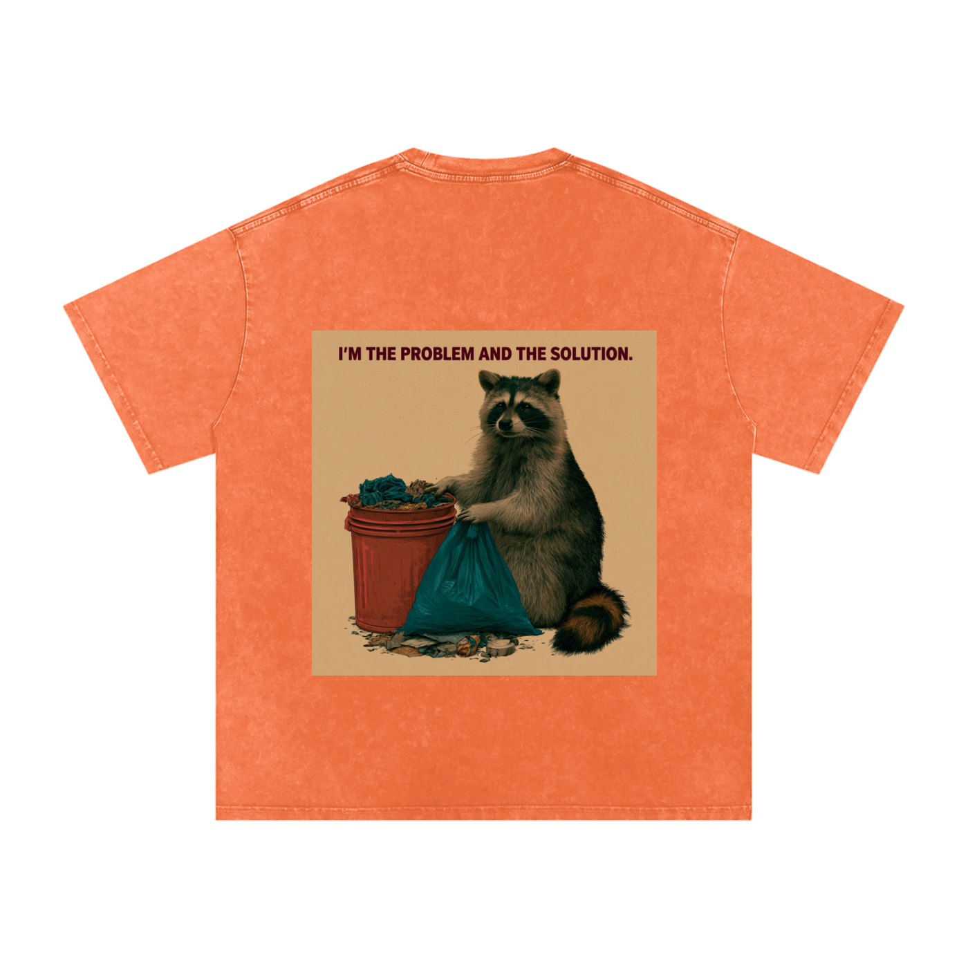 Snow Washed Oversized Cotton T-Shirt