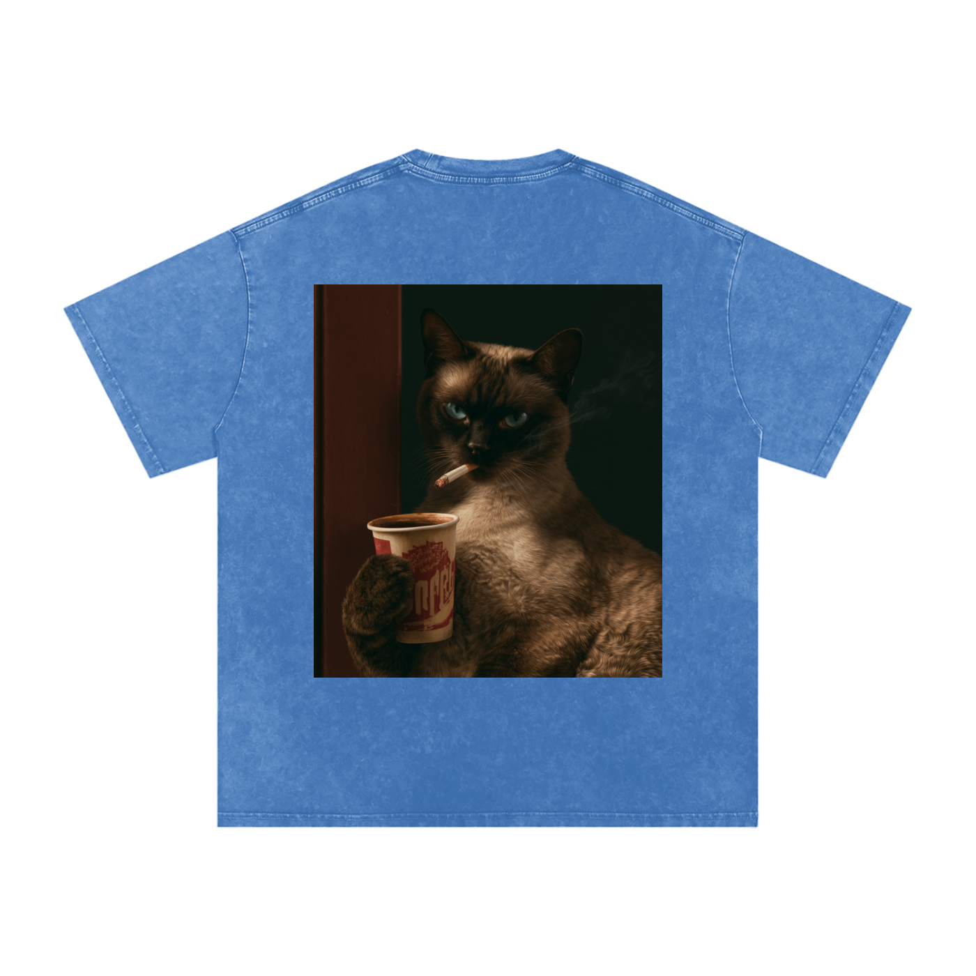 Snow Washed Oversized Cotton T-Shirt