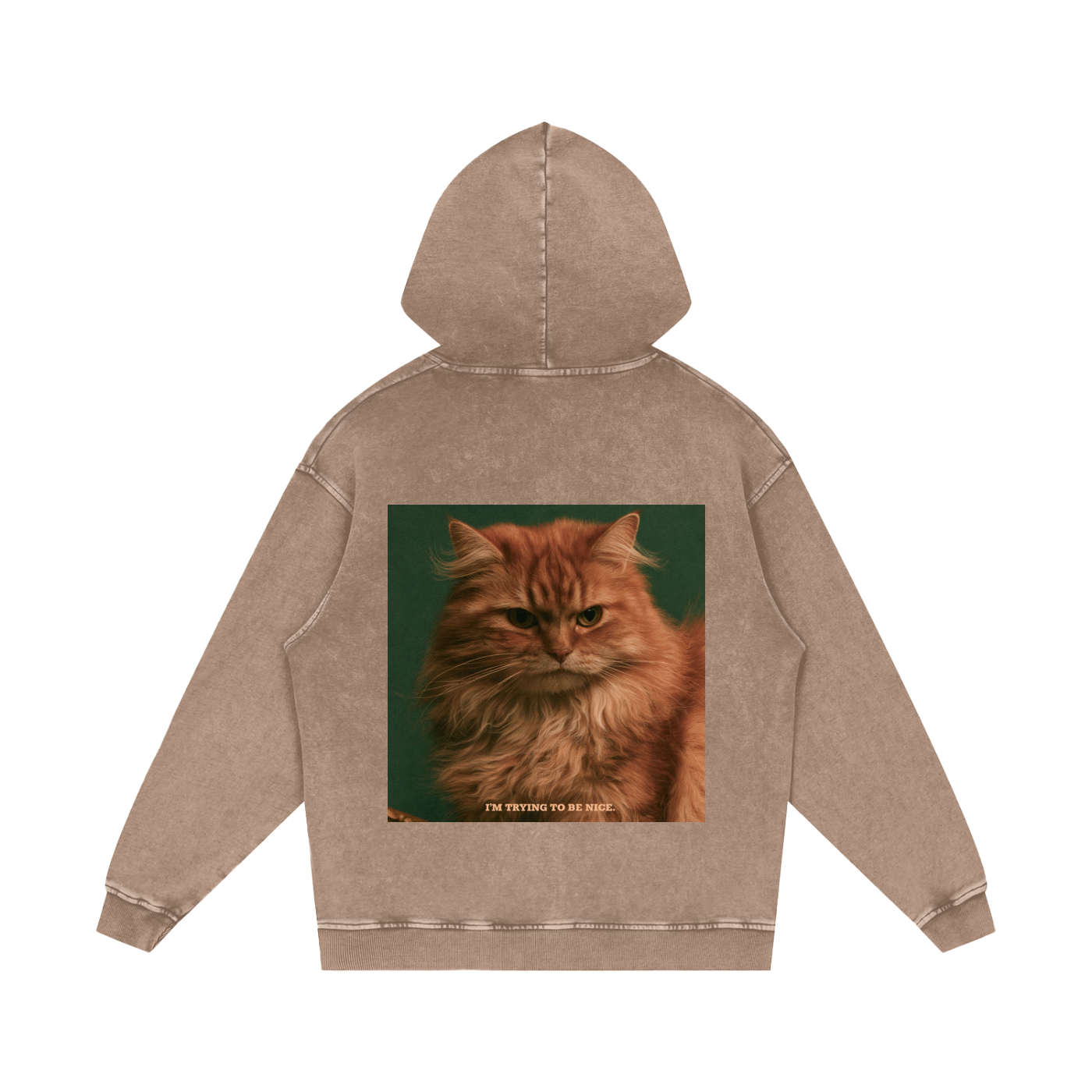 Snow Washed Loose Cotton Hoodie