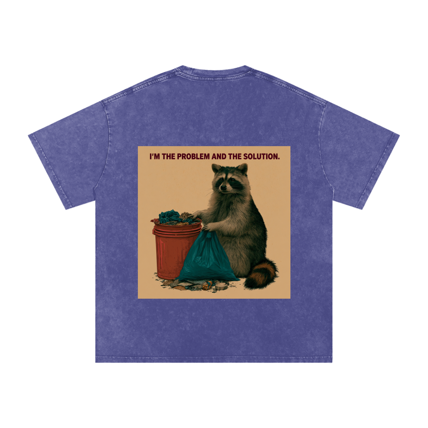Snow Washed Oversized Cotton T-Shirt