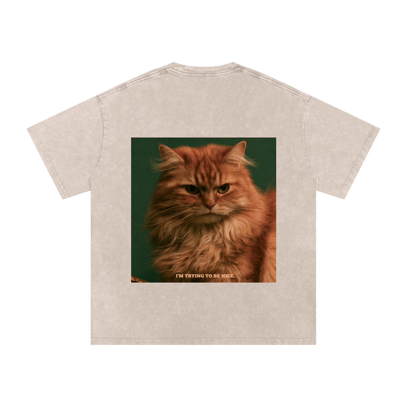 Snow Washed Oversized Cotton T-Shirt