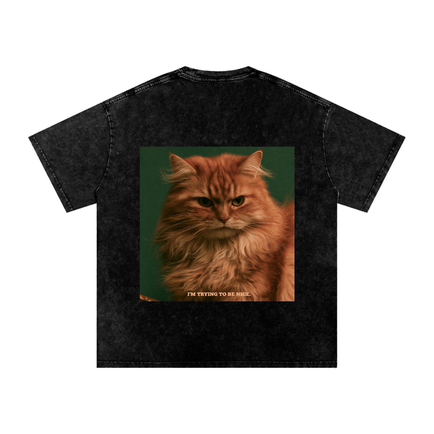 Snow Washed Oversized Cotton T-Shirt