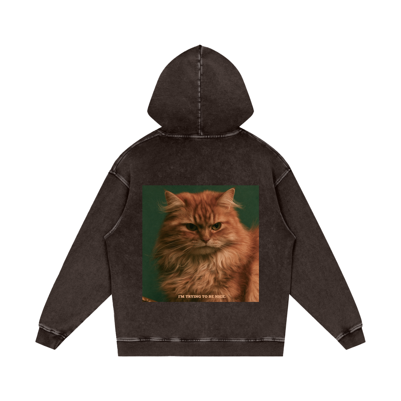 Snow Washed Loose Cotton Hoodie