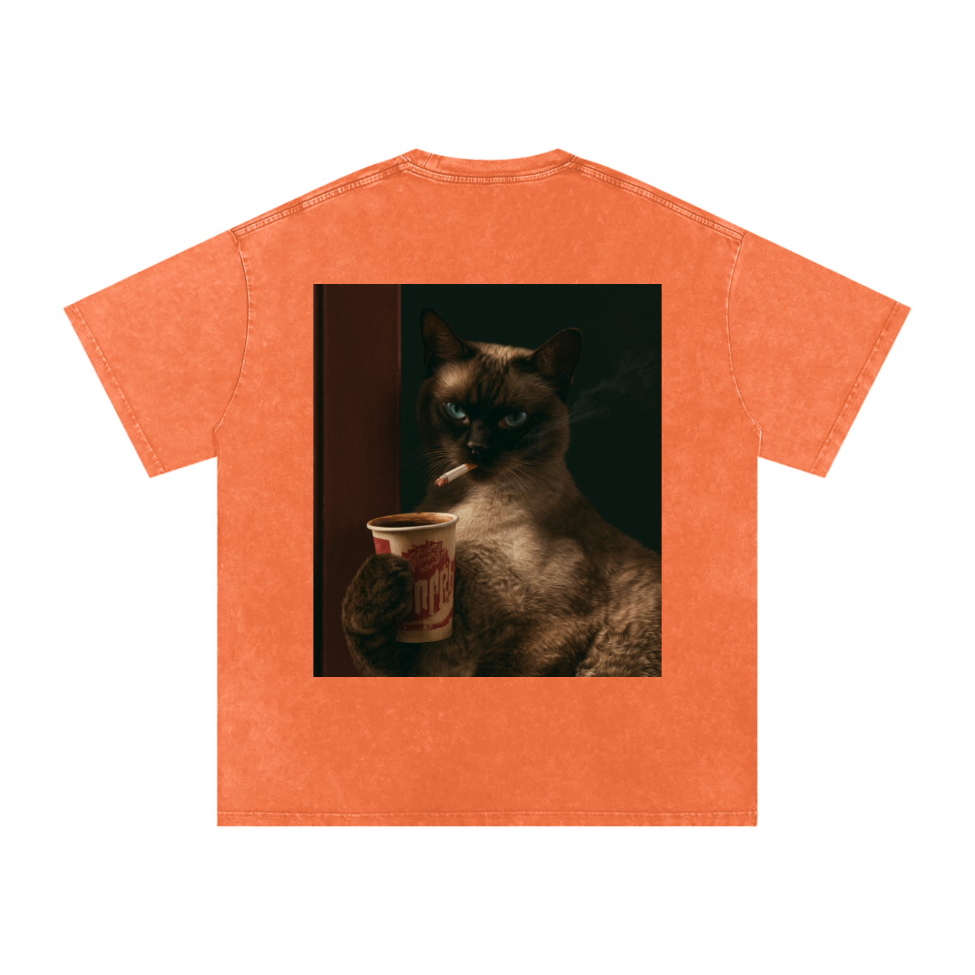 Snow Washed Oversized Cotton T-Shirt