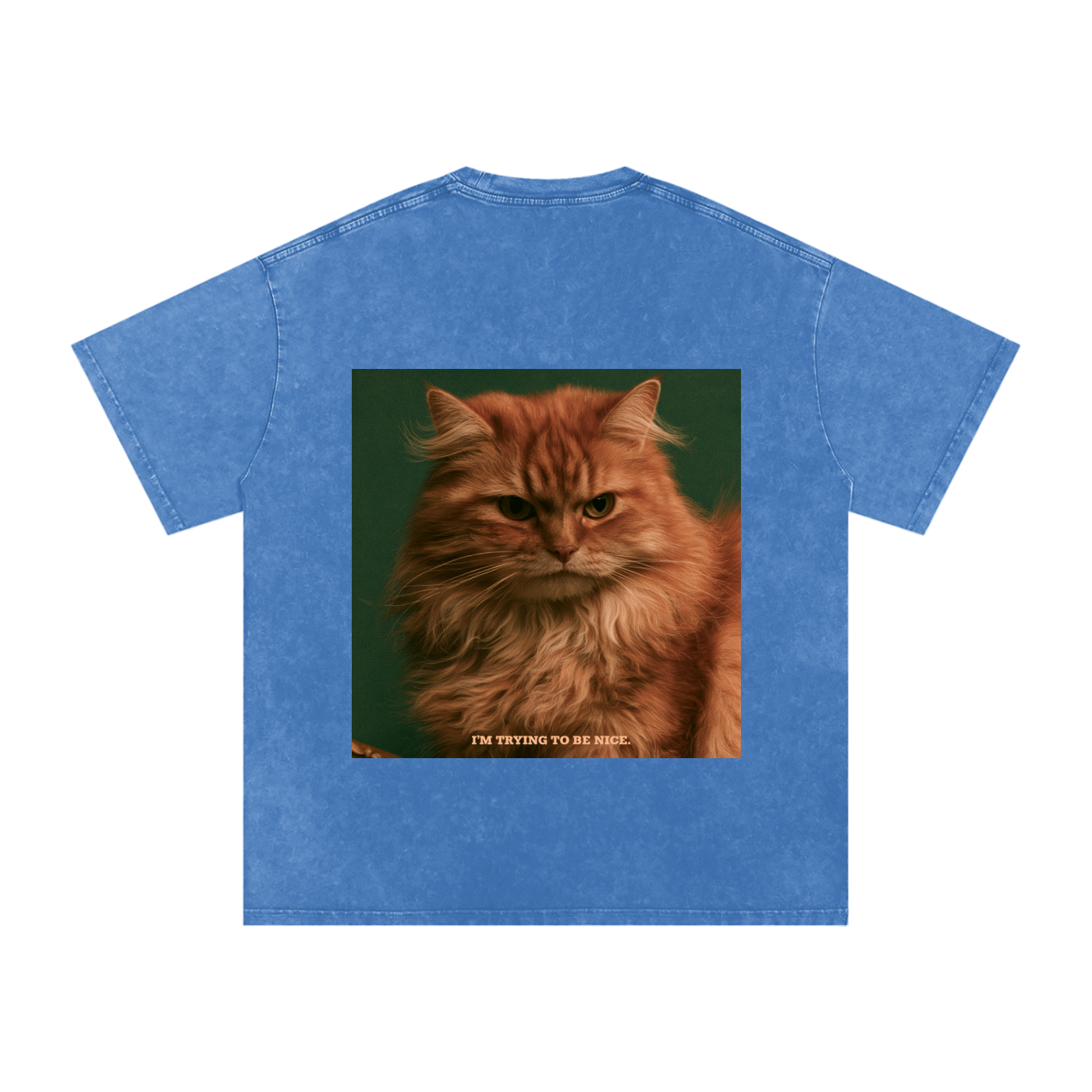 Snow Washed Oversized Cotton T-Shirt