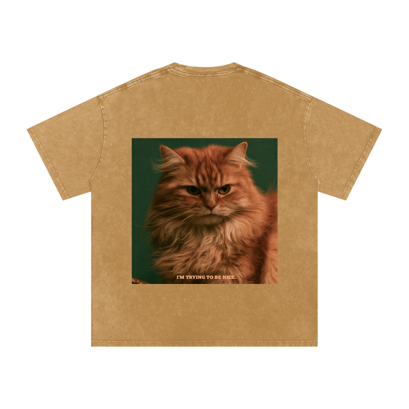 Snow Washed Oversized Cotton T-Shirt