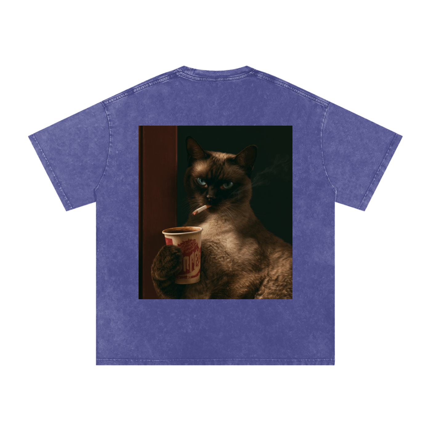Snow Washed Oversized Cotton T-Shirt