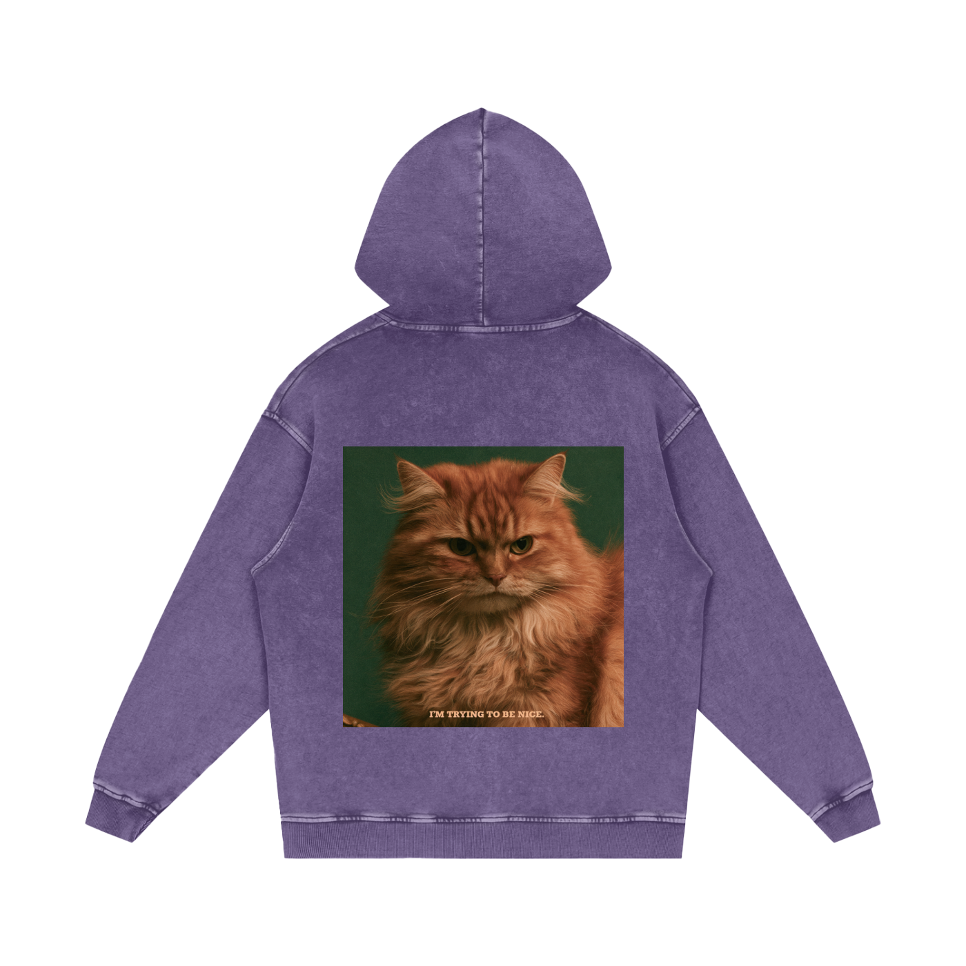 Snow Washed Loose Cotton Hoodie