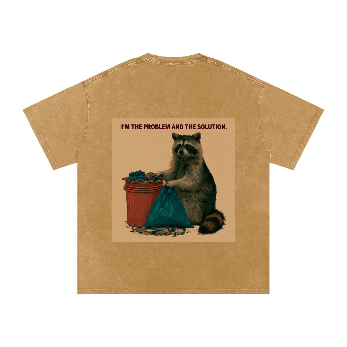 Snow Washed Oversized Cotton T-Shirt