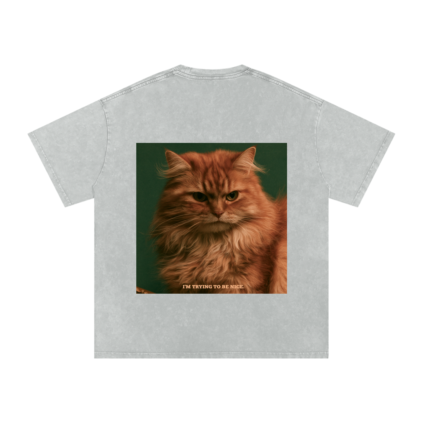 Snow Washed Oversized Cotton T-Shirt