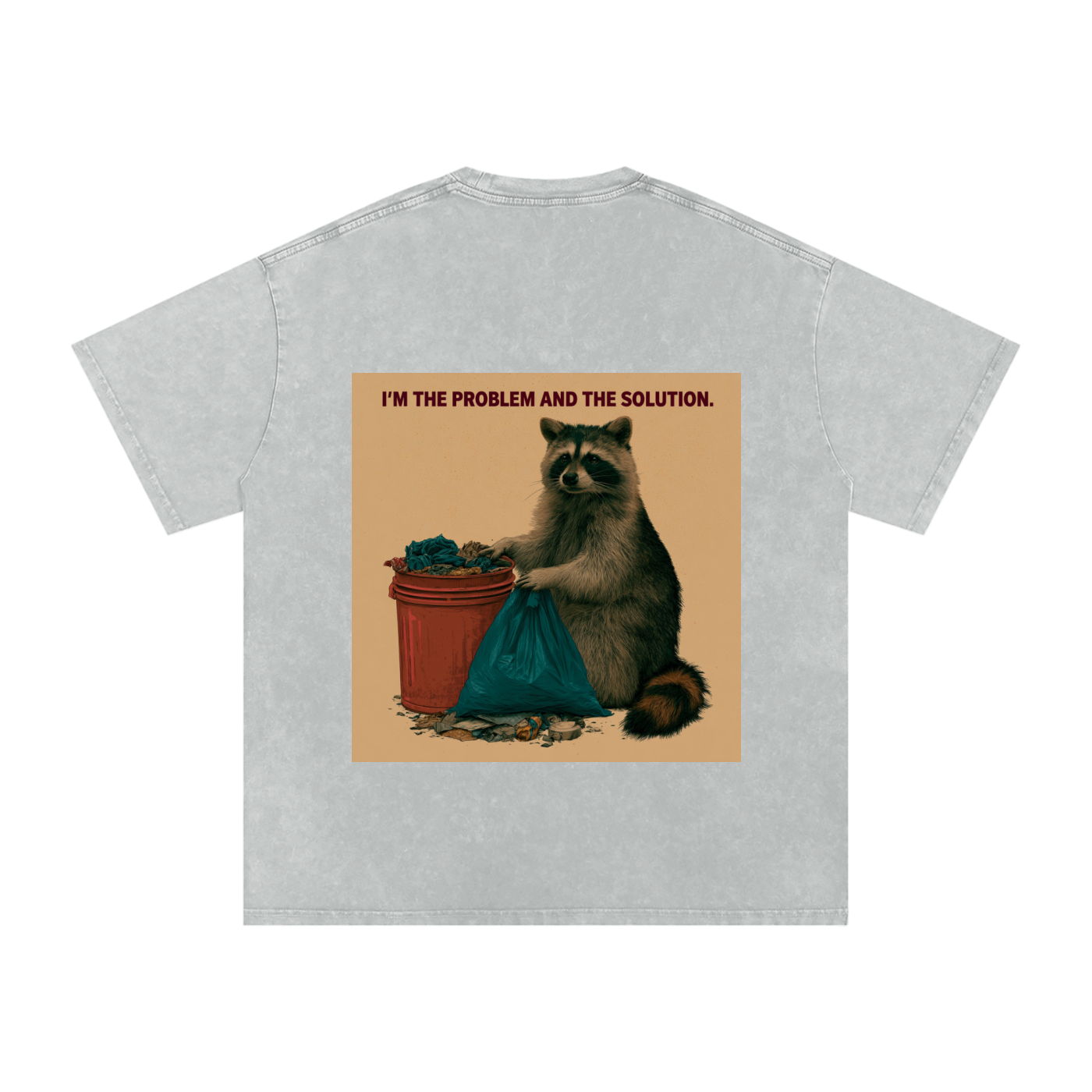 Snow Washed Oversized Cotton T-Shirt