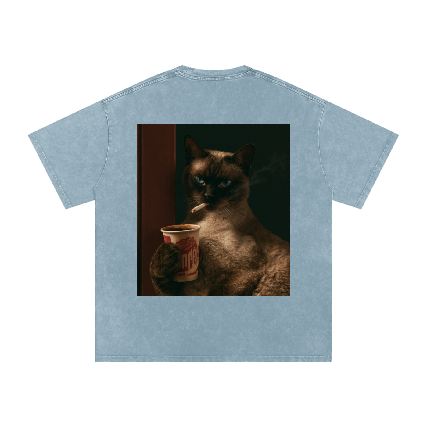 Snow Washed Oversized Cotton T-Shirt