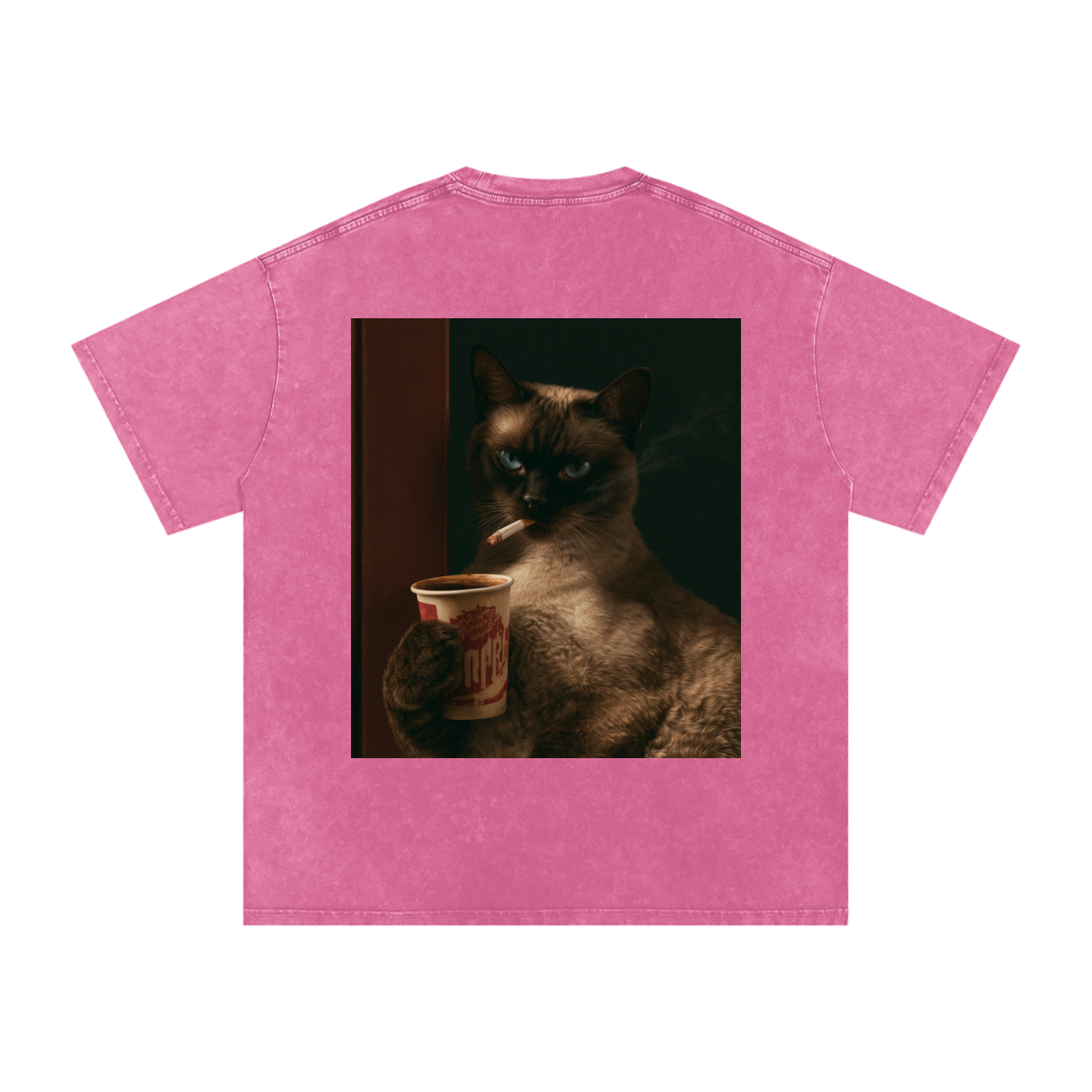 Snow Washed Oversized Cotton T-Shirt