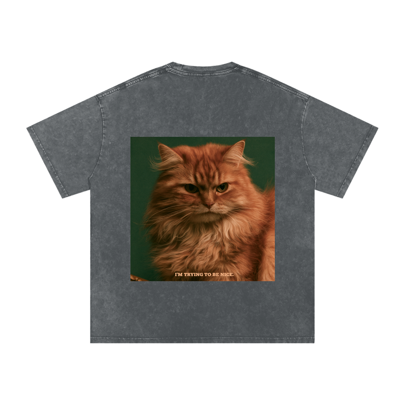 Snow Washed Oversized Cotton T-Shirt