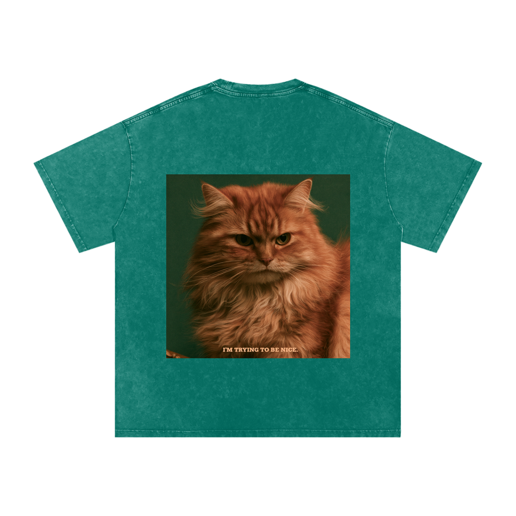 Snow Washed Oversized Cotton T-Shirt
